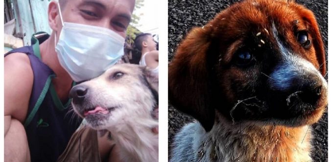 Der Hund, der 3 Monate verschollen war, konnte seine Aufregung nicht verbergen, als sein Vater ihn fand und weinte