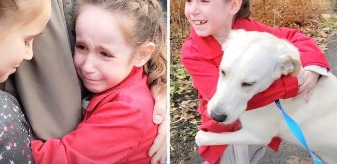 Die Mädchen mit gebrochenem Herzen dachten, der geliebte Tierheimhund sei ad acta gelegt worden, aber eine Überraschung machte sie glücklich
