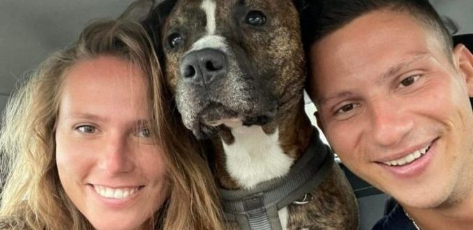 Ce chien merveilleux a pu voir un point lumineux dans tant de douleur
