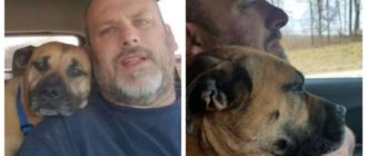 Un homme a laissé la porte de la voiture ouverte lorsqu’il s’est retourné il a vu un invité inattendu assis sur la chaise : un parfait petit chien