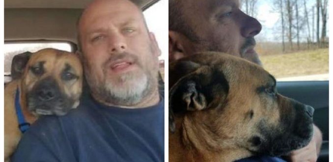 Un homme a laissé la porte de la voiture ouverte lorsqu’il s’est retourné il a vu un invité inattendu assis sur la chaise : un parfait petit chien