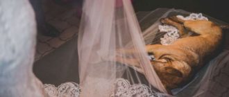 Es ist viral geworden, weil dieses Paar dem streunenden Welpen, der ihre Hochzeit unterbrochen hat, eine entzückende Reaktion gegeben hat.
