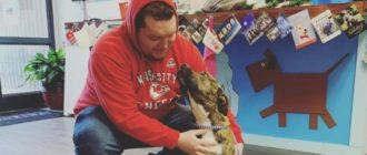 Nach einem Jahr der Suche nach dem verlorenen Hund war der Besitzer entmutigt, aber das neue Jahr brachte Wunder