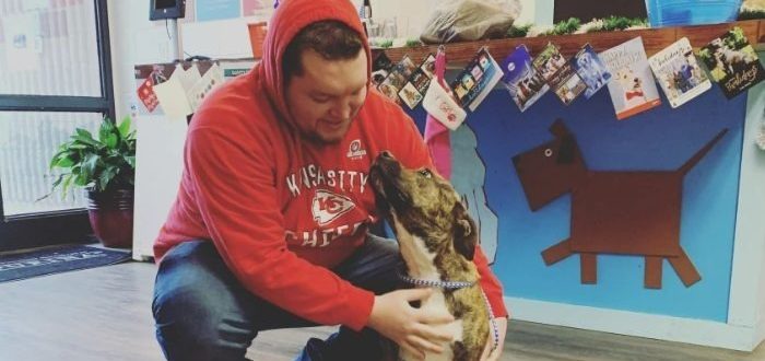 Nach einem Jahr der Suche nach dem verlorenen Hund war der Besitzer entmutigt, aber das neue Jahr brachte Wunder