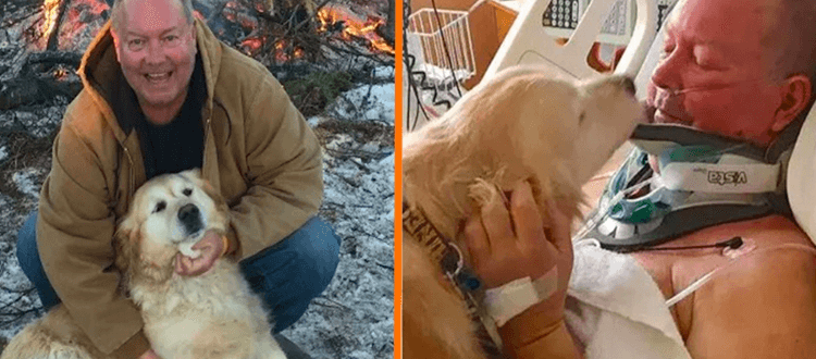 Ein Golden Retriever rettete einem Mann das Leben, der sich das Genick brach und erfror