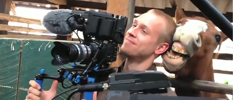 Der Journalist tritt vor die Kamera, aber das Pferd bringt den Stab zum Lachen (Video)
