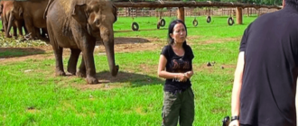 Elefant platzt ins Interview, um ihren Wärter vor Interviewern zu „retten“.