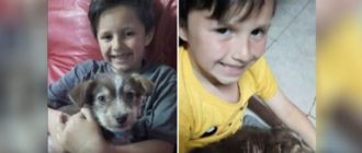 Tapferer Junge rettet missbrauchten Welpen, adoptiert ihn und jetzt sind sie unzertrennlich (Video)