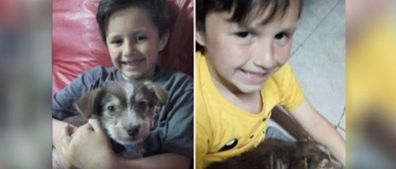 Tapferer Junge rettet missbrauchten Welpen, adoptiert ihn und jetzt sind sie unzertrennlich (Video)