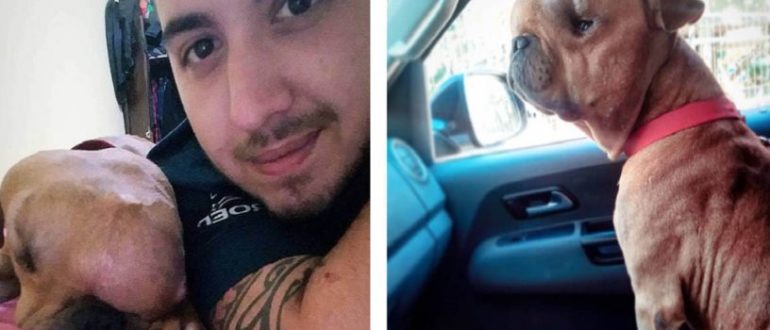 Der Mensch adoptiert einen Hund mit einem Tumor, damit er den Rest seines Lebens im Wissen um bedingungslose Liebe verbringen kann…!