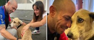 Die Familie fand ihren Hund, nachdem sie 45 Tage lang in Brasilien verloren gegangen war