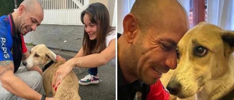 Die Familie fand ihren Hund, nachdem sie 45 Tage lang in Brasilien verloren gegangen war