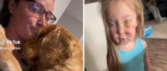 Die Mutter weigert sich, den Hund aus dem Haus zu werfen, nachdem dieser in Notwehr die Tochter gebissen hat