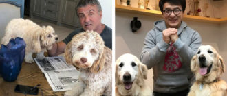 Fotos von Prominenten, die sich ein Leben ohne ihre vierbeinigen Freunde nicht vorstellen können