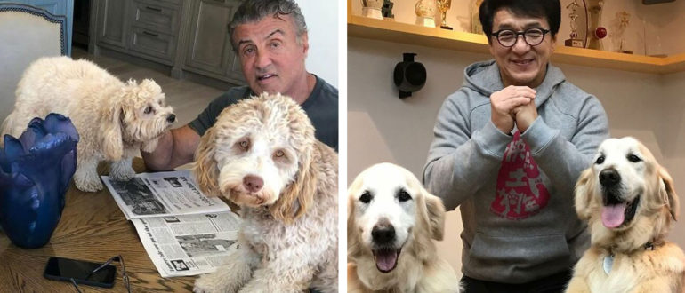 Fotos von Prominenten, die sich ein Leben ohne ihre vierbeinigen Freunde nicht vorstellen können