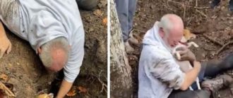 Mann vergießt Freudentränen, nachdem er seinen geliebten Hund gefunden hat