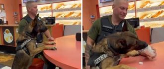 Polizeihund bekommt nach jedem Arbeitstag ein Eisleckerli (Video)