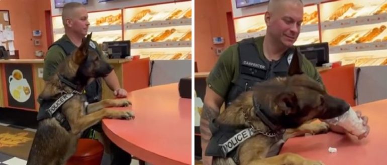 Polizeihund bekommt nach jedem Arbeitstag ein Eisleckerli (Video)
