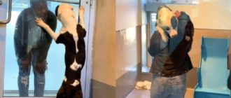 Rührendes Wiedersehen eines Tierheimhundes und seiner Familie nach langer verlorener Zeit