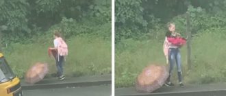 Angel wurde gesehen, wie er auf dem Heimweg von der Schule einen streunenden Hund rettete