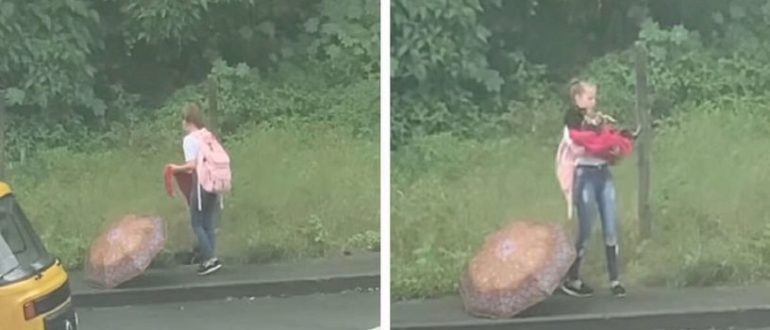 Angel wurde gesehen, wie er auf dem Heimweg von der Schule einen streunenden Hund rettete