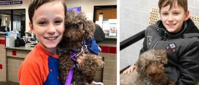 Der kleine Junge adoptiert den ältesten unerwünschten Hund aus einem Tierheim, was ihn bis zu seinen letzten Tagen glücklich macht