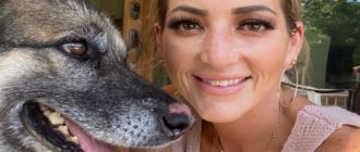 Deutscher Schäferhund, der seit mehr als vier Jahren vermisst wird, wurde mit seiner Familie wiedervereint (Video)