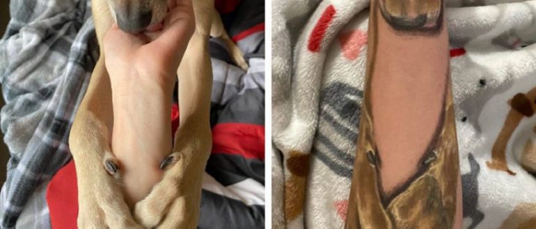 Die Frau mit dem ganz besonderen Tattoo zur Erinnerung an ihren geliebten Hund