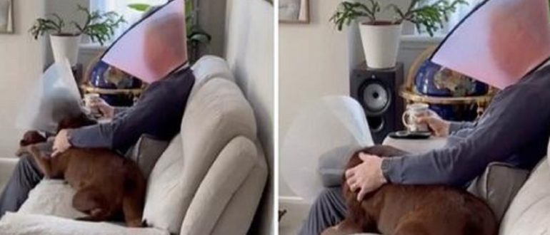 Ein Mann begleitet seinen Welpen mit einem Kegel am Hals (Video)