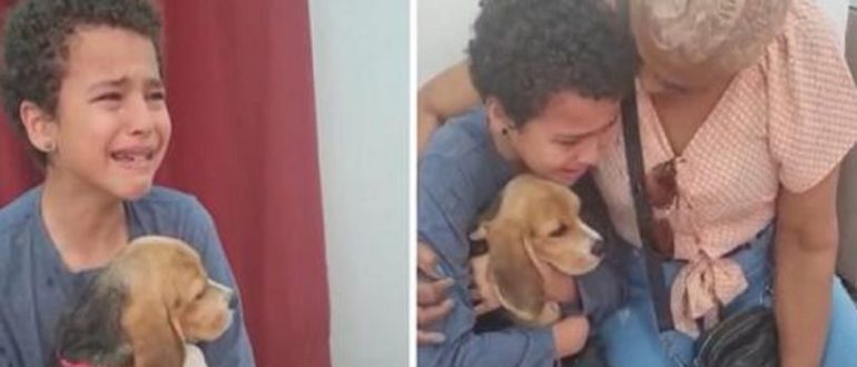 Junge weint vor Rührung, nachdem er einen verlassenen Hund adoptiert hat