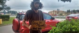 Obdachloser steht vor Walmart und bittet um Hilfe für seinen Hund, und eine Frau kam ihm zu Hilfe (Video)