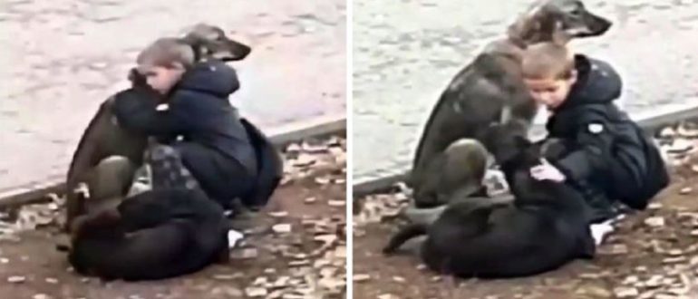 Süßes Kind hört auf, verlassene Hunde zu umarmen, wenn es denkt, dass niemand zuschaut