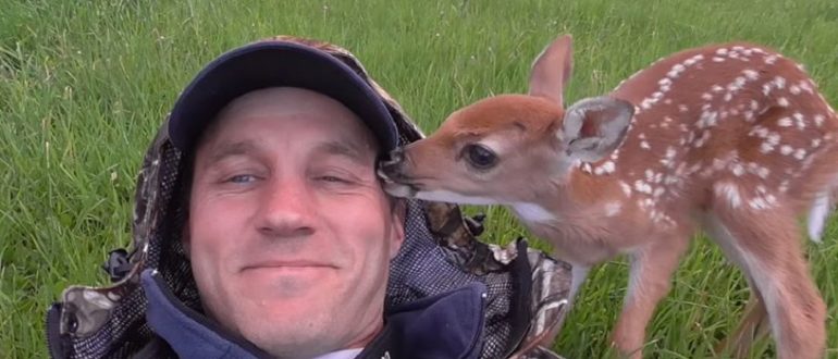 Baby Deer weigert sich, den Mann zu verlassen, der ihr das Leben gerettet hat (Video)