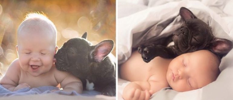 Baby und Bulldogge, die am selben Tag geboren wurden, denken, sie seien Brüder, und das ist so süß!