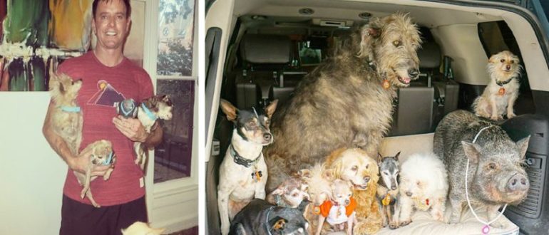 Der Mensch widmet sein Leben der Adoption älterer Hunde, die kein dauerhaftes Zuhause finden können
