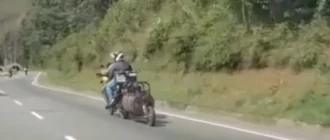 Ein Motorradfahrer hat sein Motorrad umgebaut, um mit seinen Hunden reisen zu können (Video)