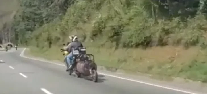Ein Motorradfahrer hat sein Motorrad umgebaut, um mit seinen Hunden reisen zu können (Video)