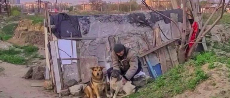 Ein Obdachloser kümmert sich um 30 streunende Hunde, die auf einem leeren Grundstück leben