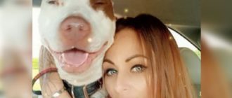 Frau bricht das Gesetz, um ihren Hund aus dem Tierheim zu retten