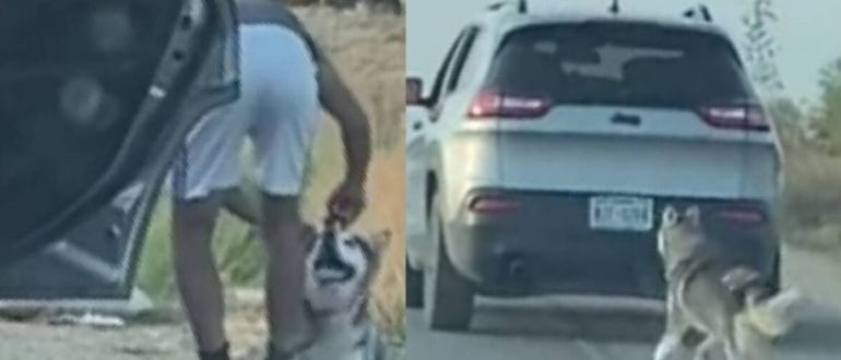 Hund mit gebrochenem Herzen wurde 24 Stunden nachdem er von seiner Familie ausgesetzt wurde adoptiert (Videos)
