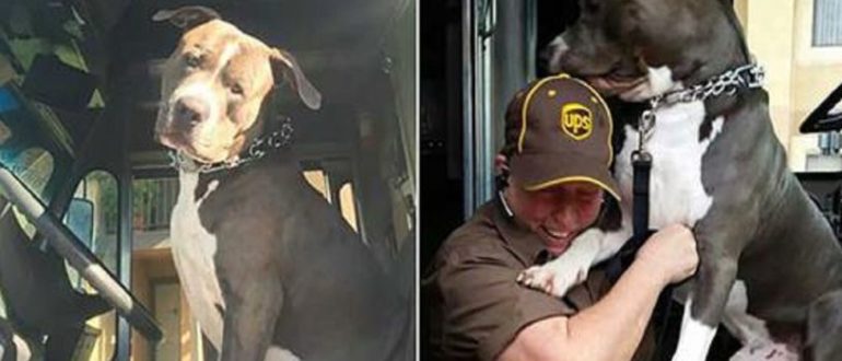 UPS-Fahrer, der auf einer Zustellroute eine Bindung zu einem Pitbull eingeht, adoptiert ihn (Video)