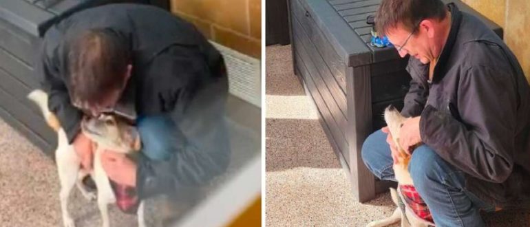 Der Hund ist nach mehr als fünf Jahren vermisst wieder mit seiner Familie vereint (Video)
