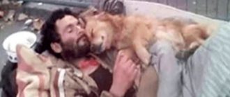 Dieser Obdachlose schläft mit seinem Hund im Arm am Straßenrand