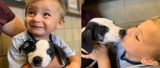 Ein Junge mit einer Lippenspalte adoptiert einen Rettungswelpen mit der gleichen Krankheit